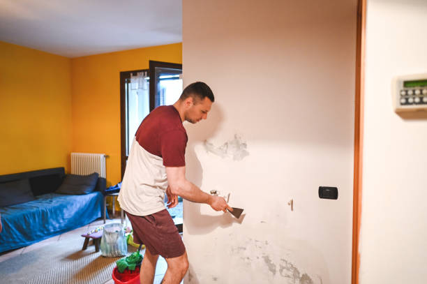 Best Mold Testing and Inspection Services in South Chicago Heights, IL